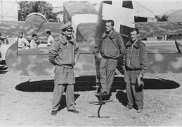 Caproni Ca310