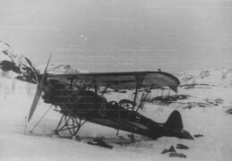 Fokker C.V.D.?