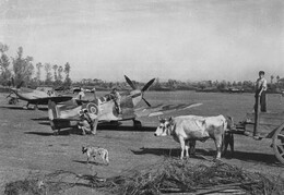232 Squadron