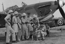 Z4484 Hawker Hurricane