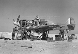 Hawker