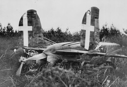Fiat BR20