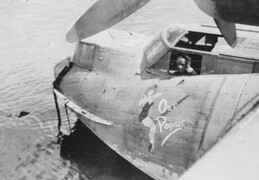 Consolidated Catalina