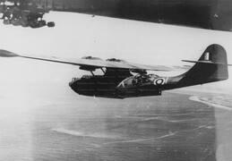 Consolidated Catalina