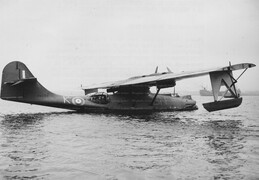 AM269 Consolidated Catalina