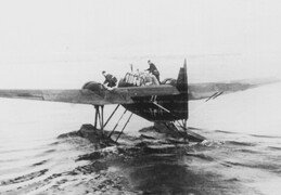 Fokker T.VIII-W