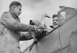 Hurricane Pilots