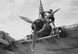 N9029 Short Sunderland