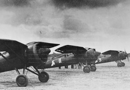 PZL P.11