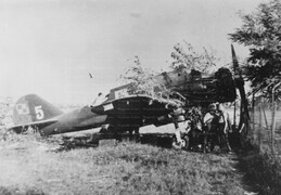 PZL P.23b Karas