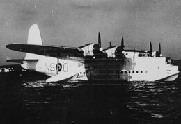 ML878 Short Sunderland