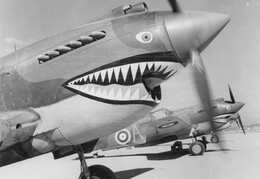 101-150 Squadron