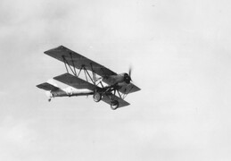 Blackburn Shark