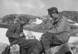 Two German Mountain Soldiers