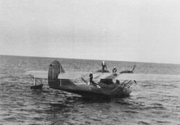 Consolidated Catalina