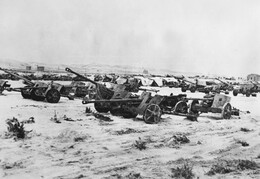 Captured Axis Guns
