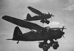 Westland Lysander