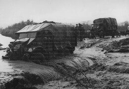 Allied vehicles