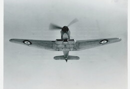 DD804 Blackburn Firebrand I 