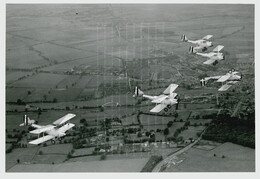 De Havilland Inter War