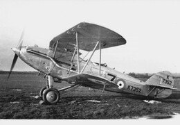 Hawker Audax