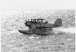 Grumman J2F6 Duck 33585