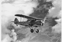 Hawker Hector