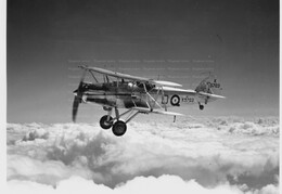 Hawker Nimrod