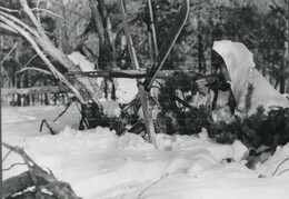 German sniper at the Kandalaksha Front