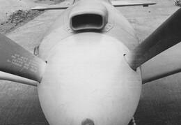 North American Mustang I