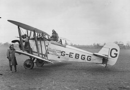 Bristol Bloodhound