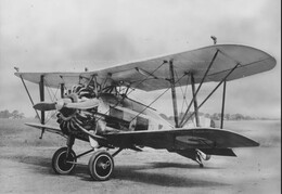 Gloster Gamecock