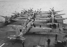 Blackburn Firebrand