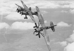 Westland