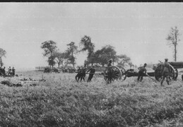 WWI0002B1