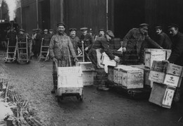 WWI0019B1
