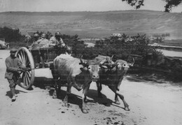 WWI0029B1