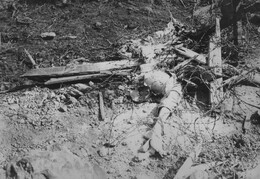 WWI0065B1