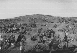 WWI0078B1