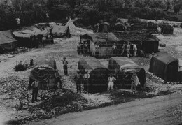 WWI0080B1