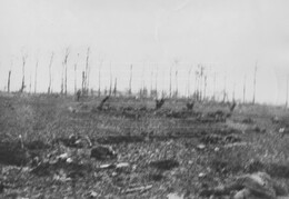 WWI0121B1