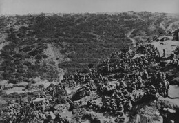 WWI0137B1