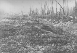 WWI0162B1