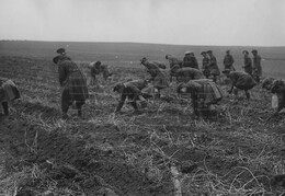 WWI0202B1