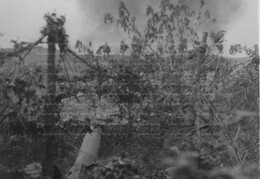 WWI0255B2