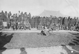 WWI0316B2