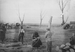 WWI0362B2