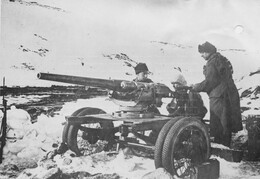 WWI0567B2