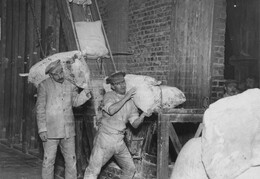 WW1 Western Front (General)