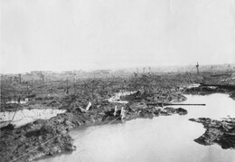 WWI1196B4
